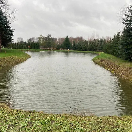 Drewniany Nad Stawem *