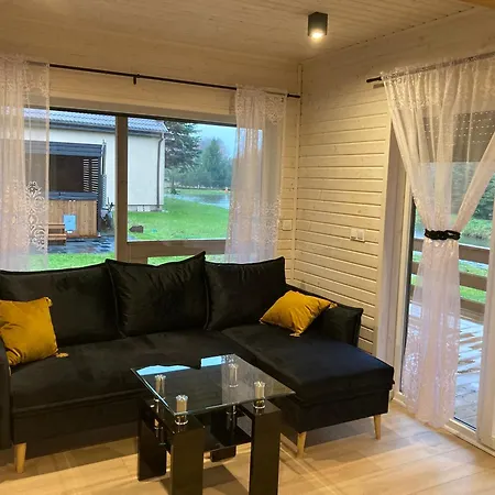 Drewniany Nad Stawem * Miedzyborow